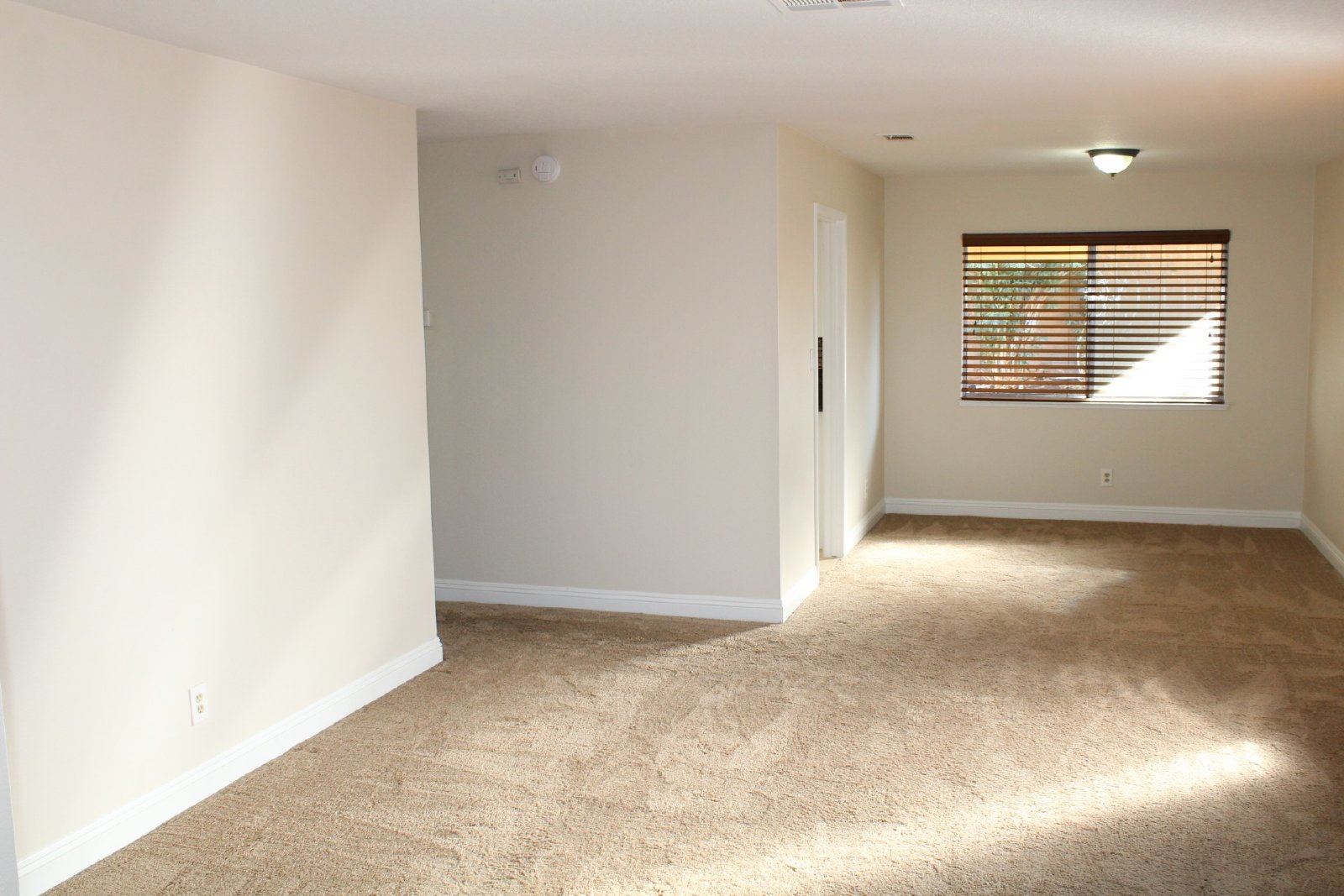 Single-story home with patio and garage property image
