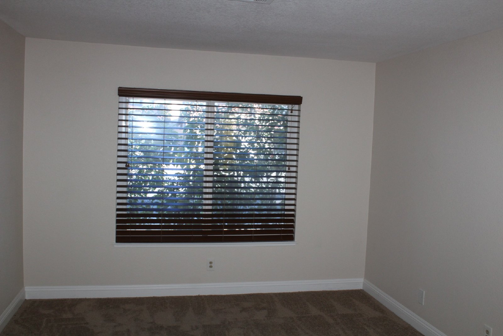 Single-story home with patio and garage property image