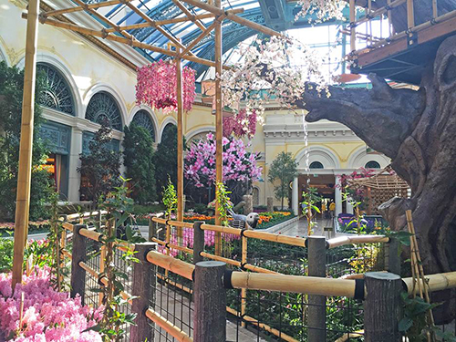 Bellagio's Spring Celebration