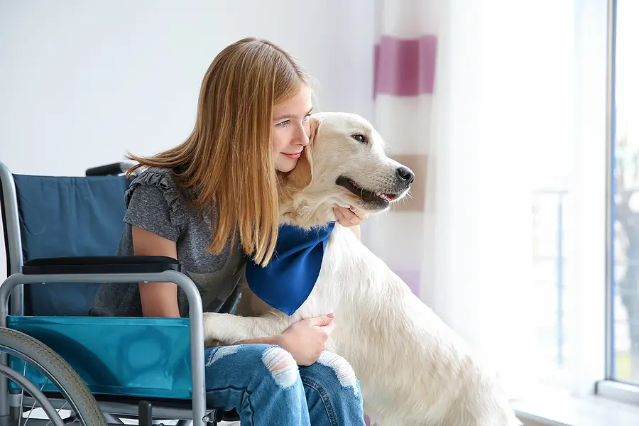 Is an Assistance Animal the Same as a Service Animal?