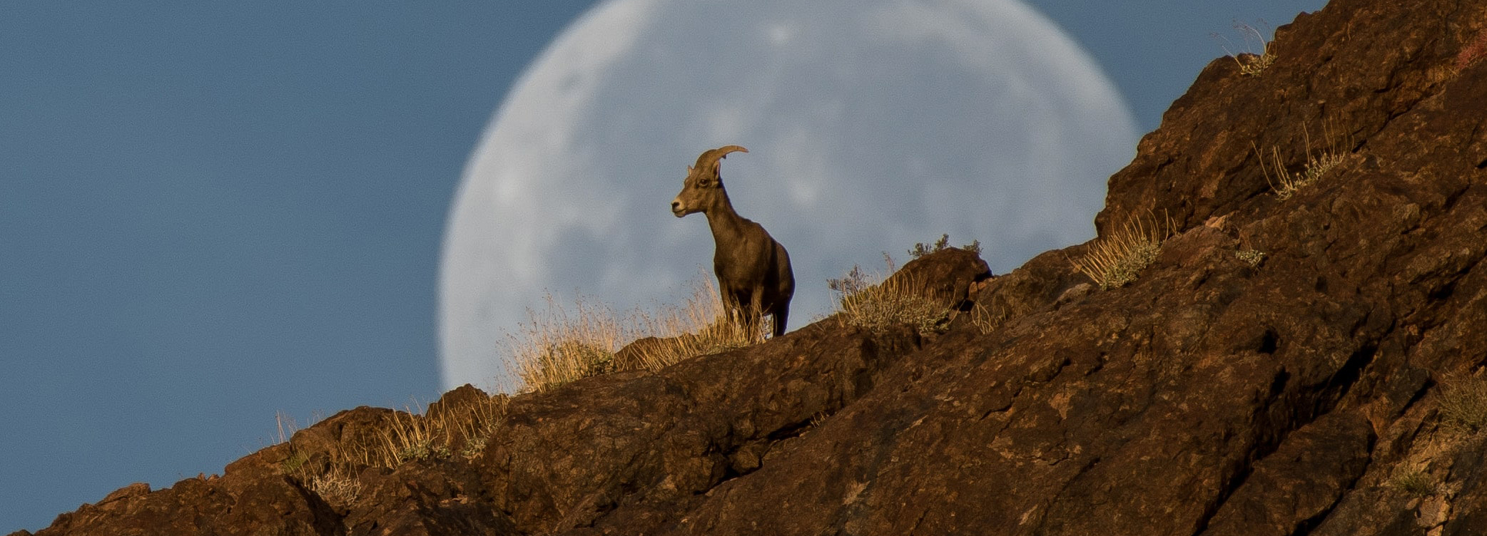 Moon Background